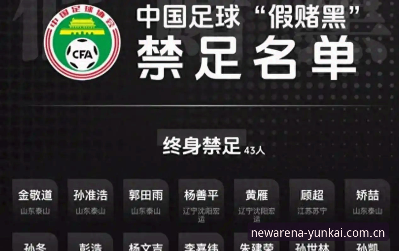 中国足球反腐风暴深度评测：从禁足名单看行业生态重塑